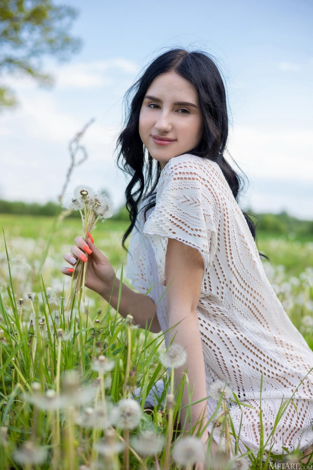 Sasha Jane - Dandelions (105P)